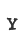 Y