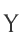 Y