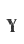 Y