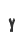 Y