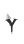 Y