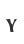 Y