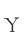 Y